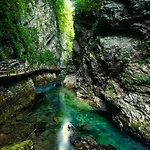 Paradise Bled