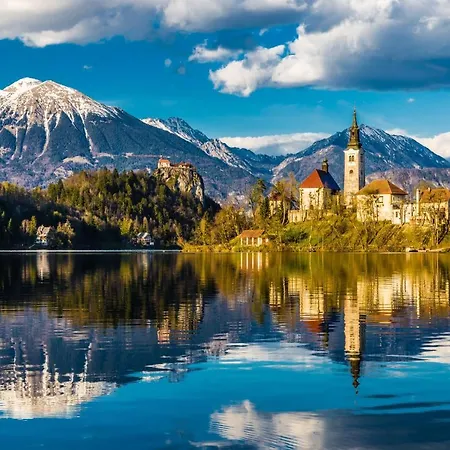 Paradise Appartement Bled