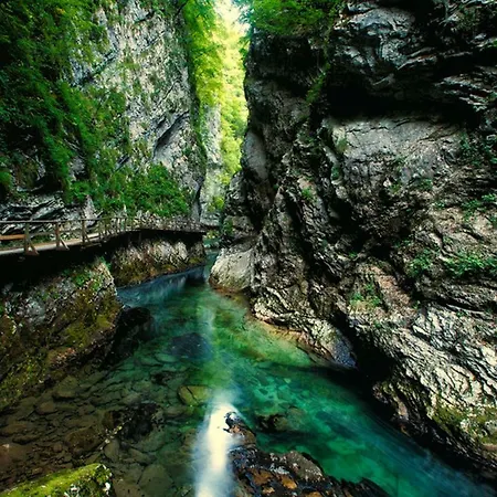 Paradise Bled