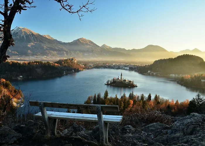 Paradise * Bled
